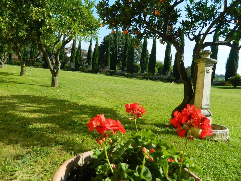Villa Lucilla Altavilla Silentina Exterior photo