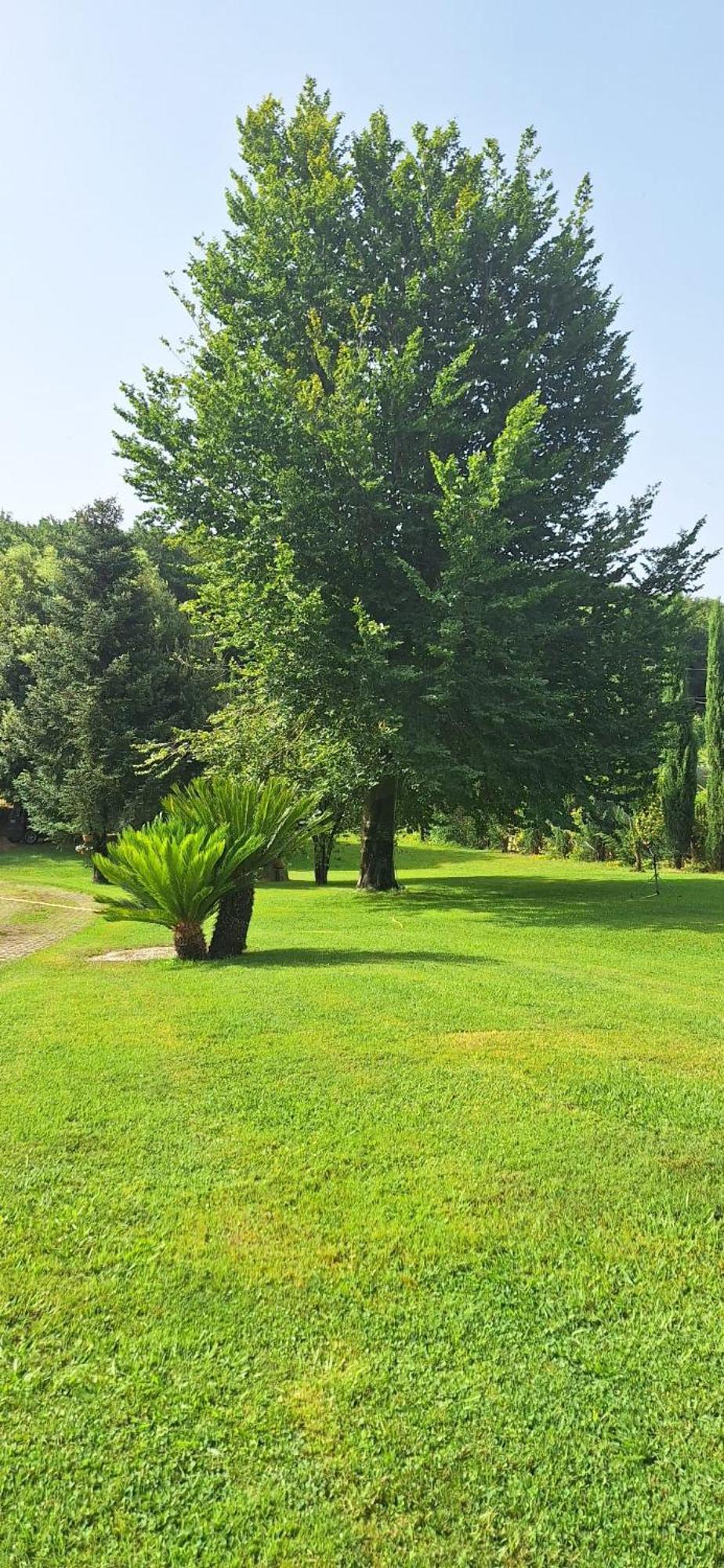 Villa Lucilla Altavilla Silentina Exterior photo